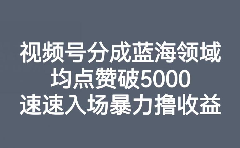 视频号分成蓝海领域,均点赞破5000,速速入场暴力撸收益