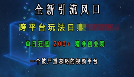 全新引流风口,跨平台玩法日入上k,单日狂揽200+精准创业粉,一个被严重忽略的视频平台