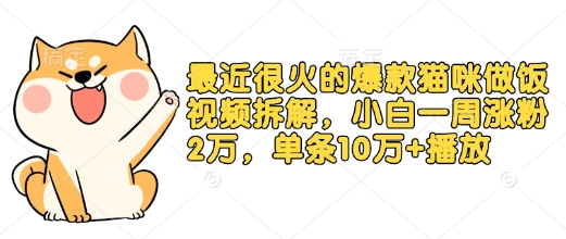 最近很火的爆款猫咪做饭视频拆解,小白一周涨粉2万,单条10万+播放(附保姆级教程)