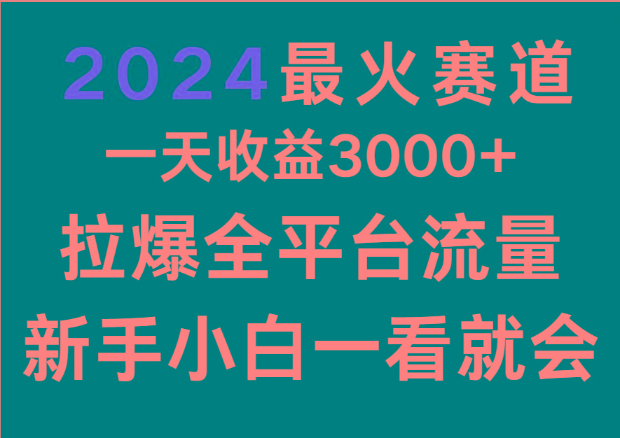 插图1–2024最火赛道，一天收一3000+.拉爆全平台流量，新手小白一看就会–免费资源分享站