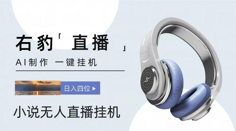 插图1–右豹小说无人直播挂机吸金项目，简单易行收益稳定， 月入1000+–免费资源分享站