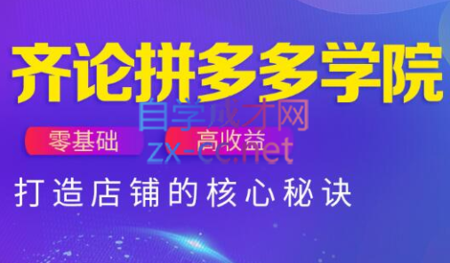 插图1–齐论拼多多vip课程–免费资源分享站