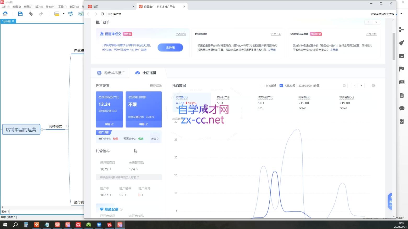 插图2–齐论拼多多vip课程–免费资源分享站
