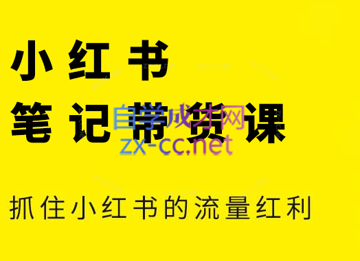 插图1–张宾·小红书笔记带货课(更新24年7月)–免费资源分享站