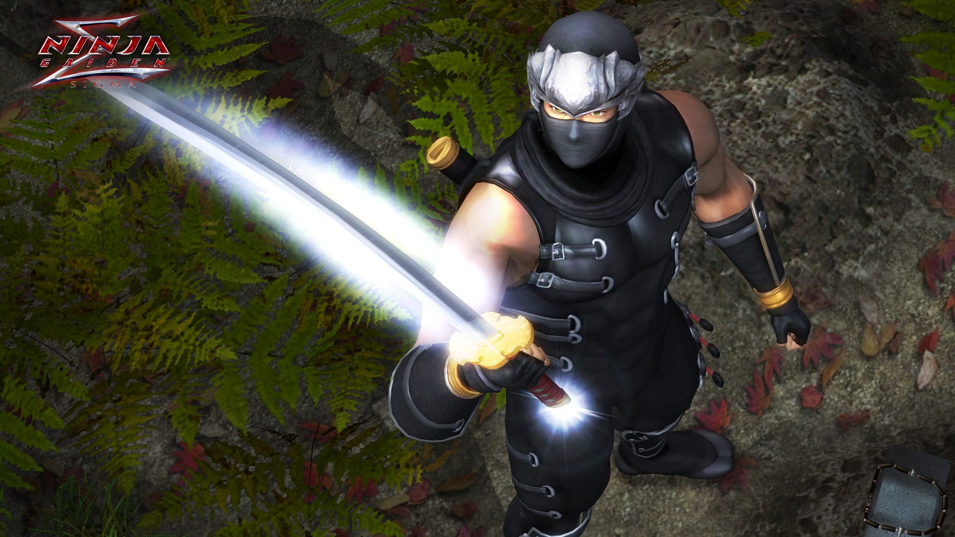 插图1–《忍者龙剑传：大师合集/NINJA GAIDEN: Master Collection》PC中文版下载-含v1.0.0.3–免费资源分享站