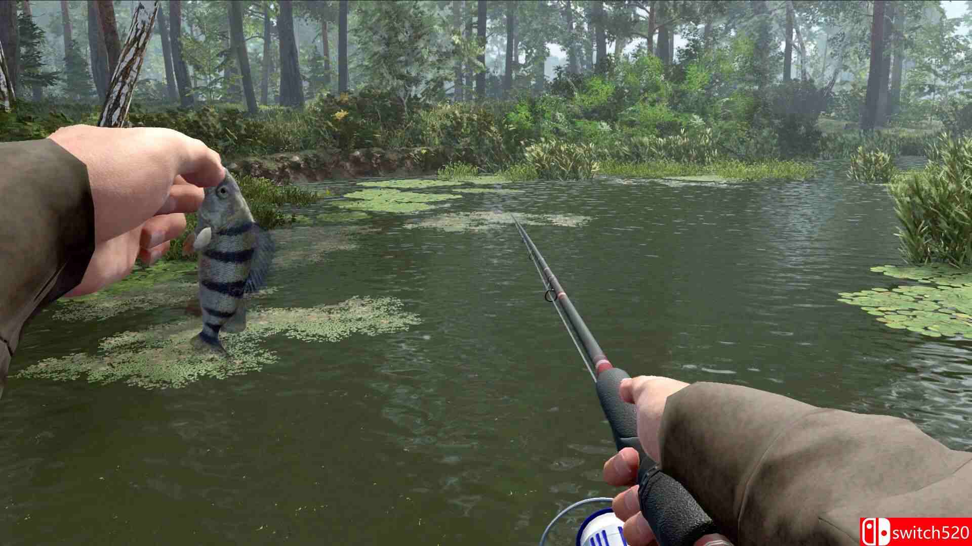 插图6–《职业钓鱼2（Professional Fishing 2）》官方中文 [中文/英文/日语]–免费资源分享站
