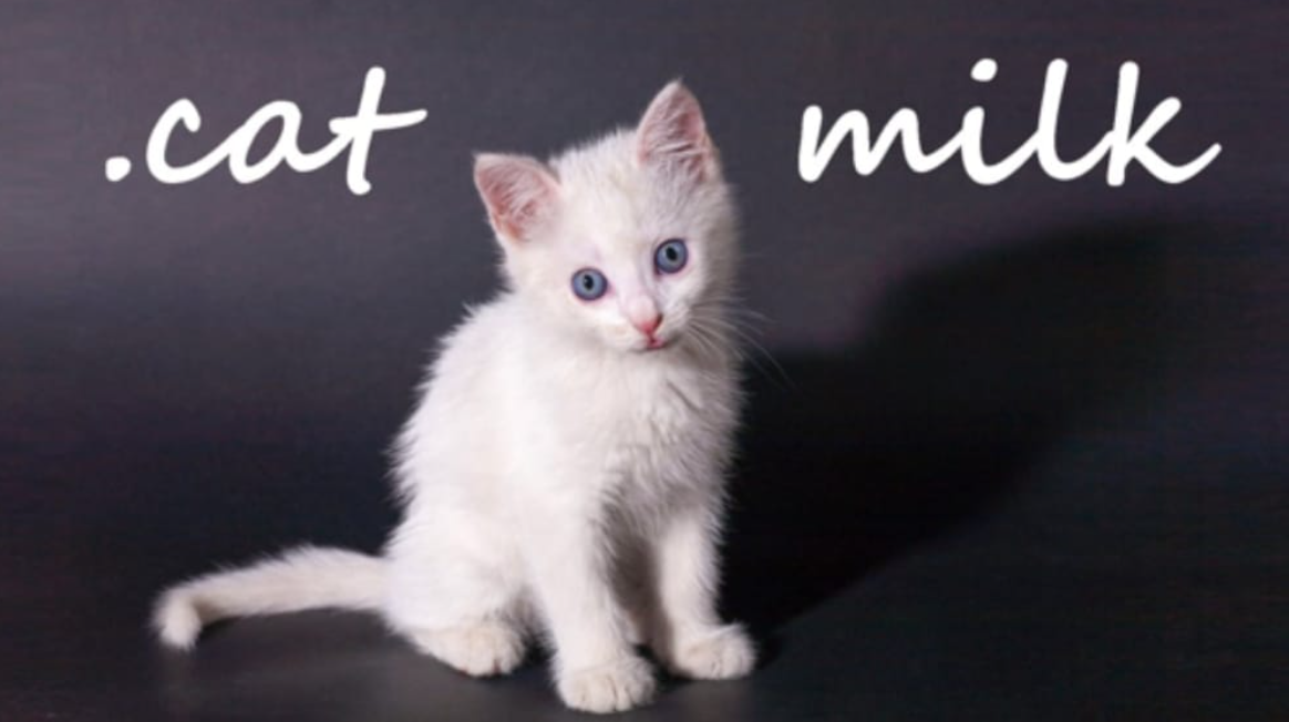 插图1–《小奶猫 .cat Milk》Switch英文版NSP下载–免费资源分享站