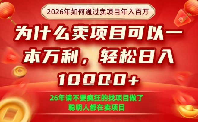 一单净利润1K+,26年想年入100个W,死磕卖项目就够了【揭秘】