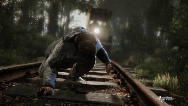 伊森卡特的消失/The Vanishing of Ethan Carter 9