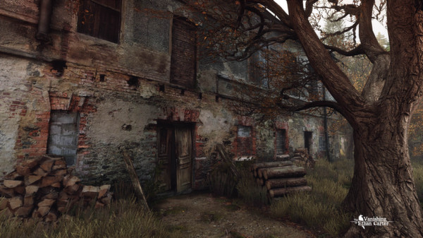 伊森卡特的消失/The Vanishing of Ethan Carter 10
