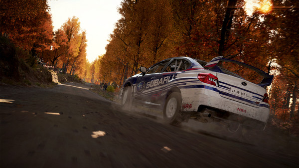 尘埃4/DiRT 4 11