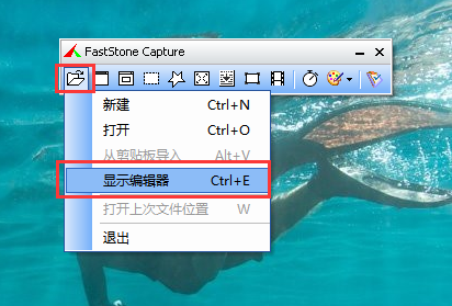 Faststone Capture 9.7截图录屏