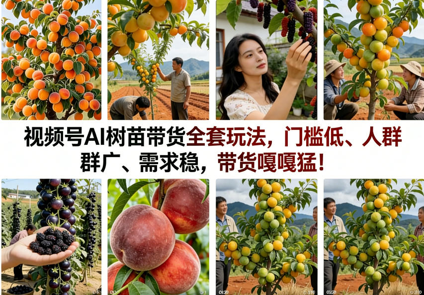 冒泡网赚